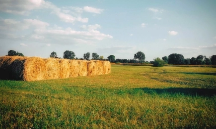 Горещото и сухо време продължава