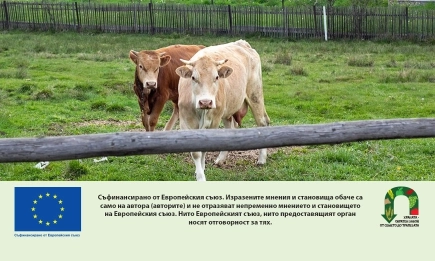 Със ставка 516 евро на хектар стартира интервенцията Биоживотновъдство