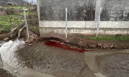 Скандално замърсяване на река Лесидренска: БАБХ откри кървави води и 880 кг месо с неизвестен произход