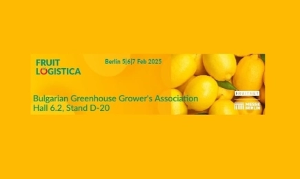 Български оранжерийни производители се готвят за най-важното изложение за пресни продукти - FRUIT LOGISTICA 2025
