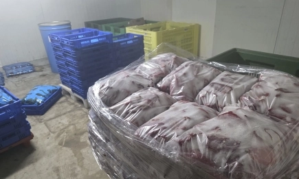 БАБХ затвори нелегален цех за консерви в село Дълго поле и конфискува над тон храни