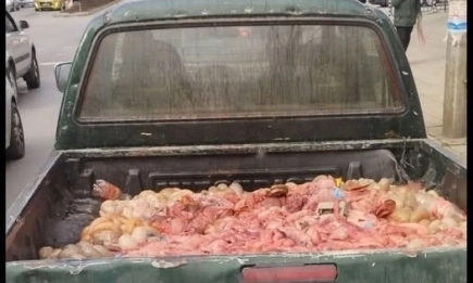 Инспектори в Хасково хванаха шофьор, превозвал животински вътрешности в открит пикап