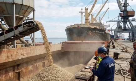 Трети кораб с аржентински слънчоглед: Пестицидите са двойно над нормите