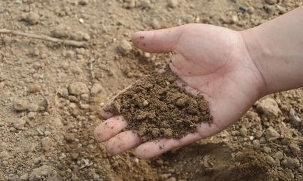 Нов доклад на FAO: 58% от почвите по света се влошават, а ерозията остава критичен проблем