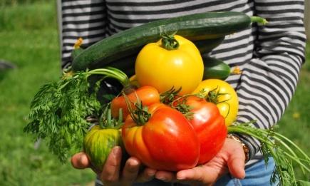 Законопроектът за веригата на доставки на земеделски продукти и храни от днес е качен за обществено обсъждане в Портала за обществени консултации