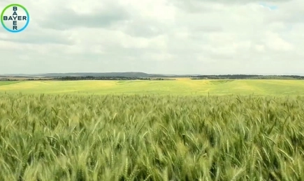 Топ продукти за растителна защита за Кампания 2025