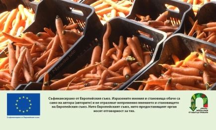 МЗХ стартира прием по мярката за къси вериги на доставка с бюджет от 9,5 млн. евро