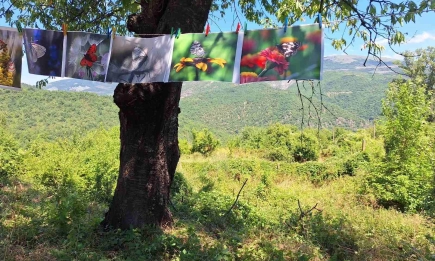 Празник на пеперудите 04-06 юли 2025