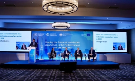 Средиземноморските и черноморските държави се обединяват около споделена визия за устойчиви аквакултури в Средиземно и Черно море