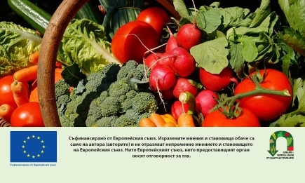 ДФЗ преведе над 32,2 млн. евро на производителите на плодове и зеленчуци за Кампания 2025