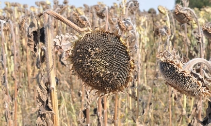 Захлаждане и локални валежи