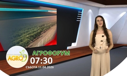 В АГРОФОРУМ: Как земеделието задържа икономиката и младите хора по селата?