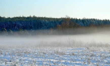 Валежи и застудяване