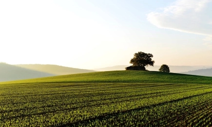 Неустойчиво време и валежи със стопанско значение