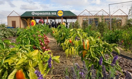 Фeрмата на Lidl – образователна градина от ново поколение