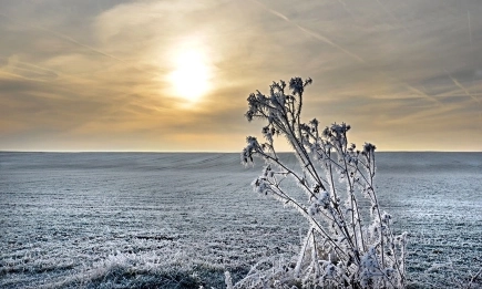 Критични минимални температури за зимуващите земеделски култури не се очакват