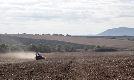 Сеитбата на есенните зърнени и маслодайни култури се движи с изпреварващи темпове спрямо 2023 г.