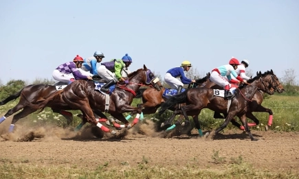 Как коне, родени в България, се наредиха в топ 10 в класация в Обединените Арабски емирства
