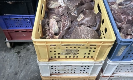 Възбраниха близо 500 кг свинско месо и субпродукти в месокомбинат в Хасково