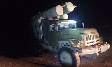 Нощна акция в Говедарци: Горски инспектори задържаха камион с незаконна дървесина