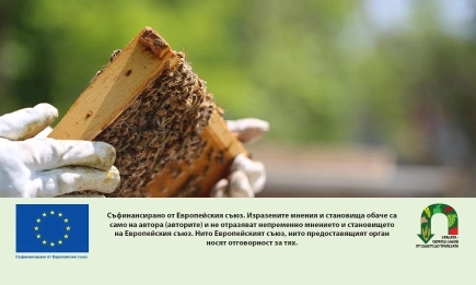 Пчелари и лозаро-винари са подпомогнати с над 45 млн. лева през финансовата 2025 година