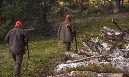 Само две нарушения при над 7000 проверки в първите два дни от откриването на лова на дива свиня и дребен дивеч в страната