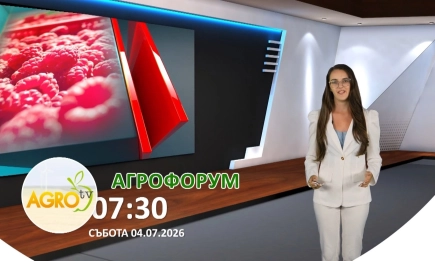 В АГРОФОРУМ: Как да защитим едновременно мечките и поминъка на земеделците и животновъдите