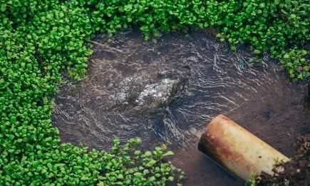 ЕС актуализира списъка със замърсители на повърхностните и подземните води
