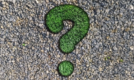 Земеделски браншове с остър протест: Земеделието в България не е само зърнопроизводство!