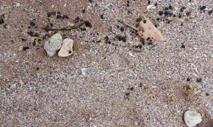 РИОСВ – Варна установи замърсяване с нефтопродукти по плажовете край Крапец и Езерец