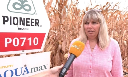 Кооперация Бъдеще залага на иновации и надеждни хибриди царевица