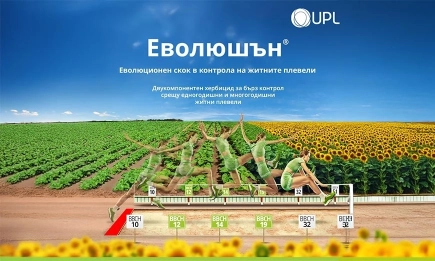 Еволюция срещу резистентност