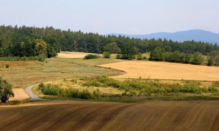 До 10 ноември стопаните имат възможност да изразят несъгласие, коригират или оттеглят заявленията си след резултатите от Системата за мониторинг на площ