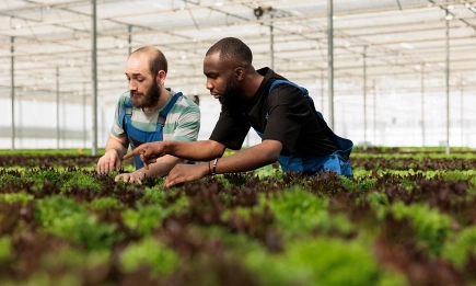 AgRI и храните 2040: ЕС насочва научните изследвания към реални решения за земеделието