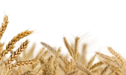 Асен Георгиев: Пазарът на зърно е в очакване на корекция