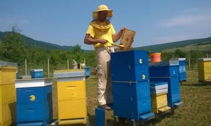 Иновативен проект за ранно развитие на пчелни семейства чрез контролирано затопляне