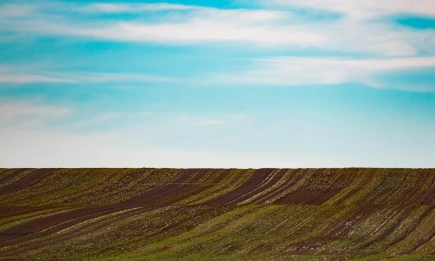 Наднормени температури, без валежи със стопанско значение