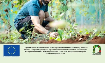 Европейската комисия представи минималните национални разпределения по ОСП след 2027 г.