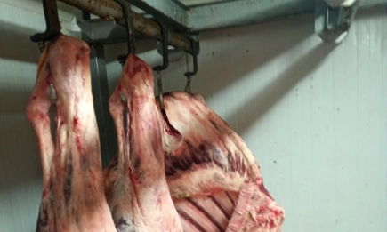 Разкриха незаконна кланица с над 20 тона месо в Дебелец