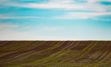 Локални валежи, затруднена сеитба