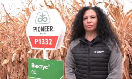 Хибридът P1332: универсален избор за зърно, силаж и биогаз