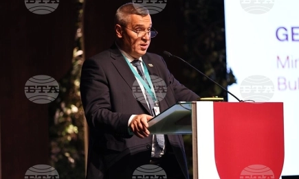 България произвежда над 67 млн. литра вино годишно и изнася за над 50 държави