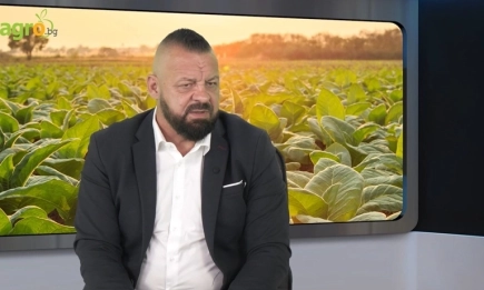 Цветан Филев: Летните месеци са предизвикателни за тютюнопроизводителите