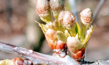 Топло за сезона време с максимални температури до и над 20°С