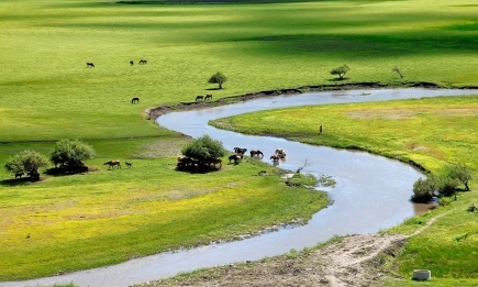 МЗХ одобри окончателните данни за Физически блокове за Кампания 2025