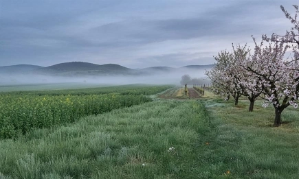 Рязко застудяване заплашва реколтата в началото на май
