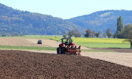 Пролетта идва колебливо: валежи и студ спъват кампанията