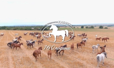 Премиера на филма 160 години Кабиюк по АГРО ТВ