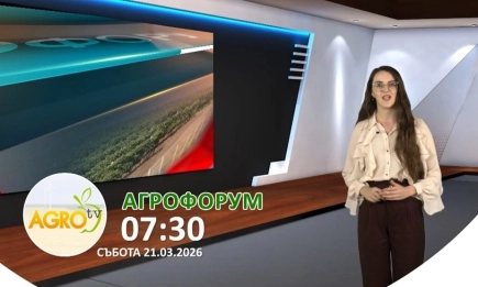 В АГРОФОРУМ Сигурност за собствениците на земя, инвестиции за фермерите – възможно ли е?