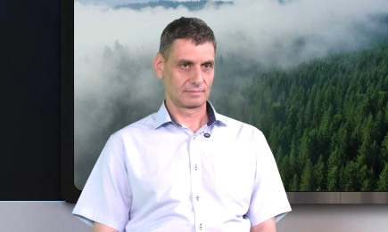 Короядите и процесионката – най-големите врагове на горите